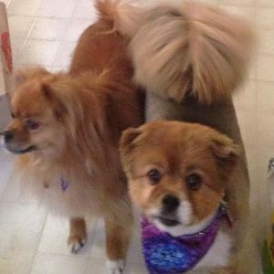 Meet your Posher, Linda